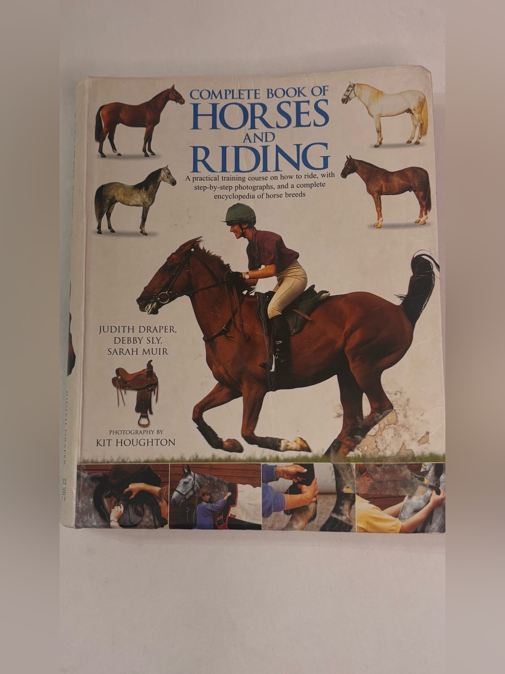 Barnes & Noble Horses and Riding Guide - Brown, White, Blue